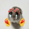 🐹 hamster triste🐹😟 8