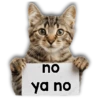 Michi mensajes gatito 🐱📩 5