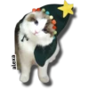 Michi 🎁🎄 Navidad 11