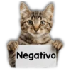 Michi mensajes gatito 🐱📩 6