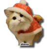 Michi 🎁🎄 Navidad 12