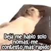 kane stickers Deja me hablo solo nomás, me contesto más rápido