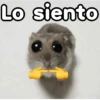 🐹 hamster triste🐹😟 9