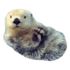 Sexy Animals 6