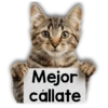 Michi mensajes gatito 🐱📩 7