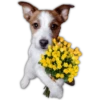 🌻💐 Flores amarillas 3 💐🌻  7