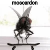 moscardon