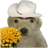 🌻💐 Flores amarillas 3 💐🌻  8