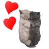 Sexy Animals 9