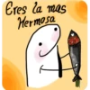 Notitas Flork 13