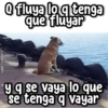 kane_stickers Q fluya lo q tenga que fluyar y q se vaya lo que se tenga q vayar