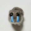 🐹 hamster triste🐹😟 10