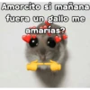 🐹 hamster triste🐹😟 11