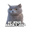 Michis memes 😹😼 5