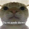 Pack Memes Randoms 5
