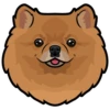 Mikka 6