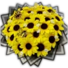 🌻💐 Flores amarillas 3 💐🌻  10