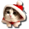 Michi 🎁🎄 Navidad 15