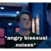 *angry bisexual noises*