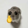 🐹 hamster triste🐹😟 12