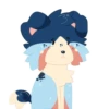 Indie the Collie 8