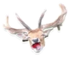 Sexy Animals 11