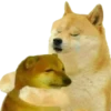 Doge / 7