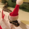 Animalitos en Navidad 7