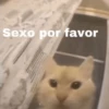 Memes para ligar 4 🔥🥵 9