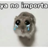 🐹 hamster triste🐹😟 15