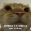 Memes para ligar 4 🔥🥵 10