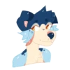 Indie the Collie 14