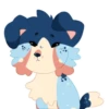 Indie the Collie 15