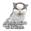 Michis memes 😹😼 6