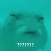 ???????