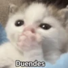 Memes XD 7