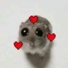 🐹 hamster triste🐹😟 16