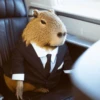 Capibara Moods 6