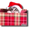 Michi 🎁🎄 Navidad 18
