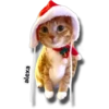 Michi 🎁🎄 Navidad 19