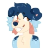 Indie the Collie 16