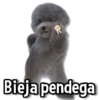 ☀️Animalitos con Frases 2🌼 6