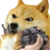 Doge / 10