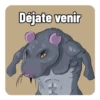 Febrero 2023 7