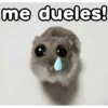🐹 hamster triste🐹😟 18