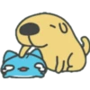GATOS CUTE 10