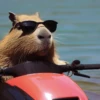 Capibara Moods 9