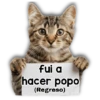 Michi mensajes gatito 🐱📩 9