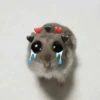 🐹 hamster triste🐹😟 19