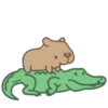 Capibara 6